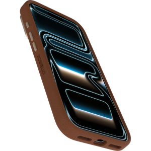 iPhone 17 Pro Case
            
                Symmetry Series Cactus Leather