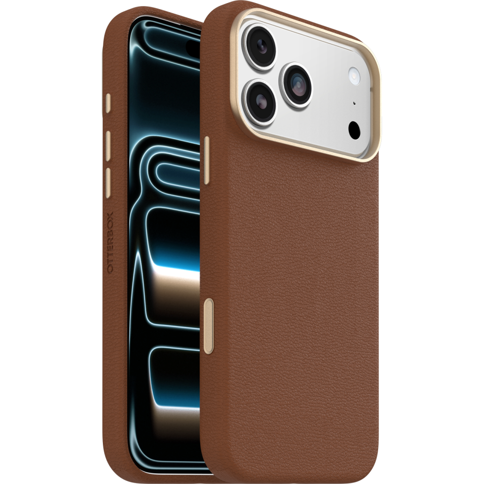 iPhone 17 Pro Max Case
            
                Symmetry Series Cactus Leather